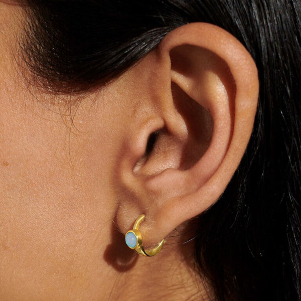 Birthstone Hoop Earrings (Choose Month)